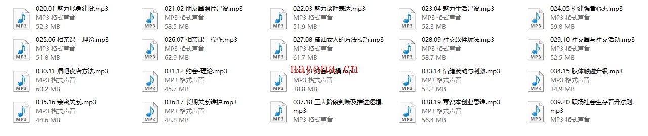 丹青门徒课-魅力工程【新】20节音频