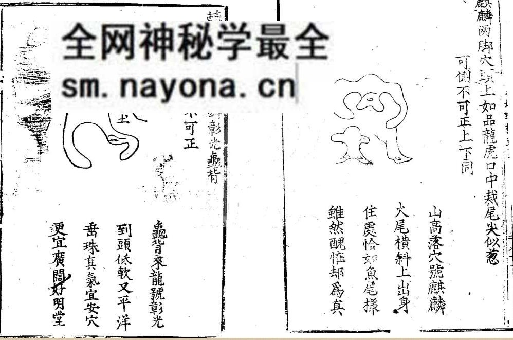 《秘传金函经》刘江东、谭仲间