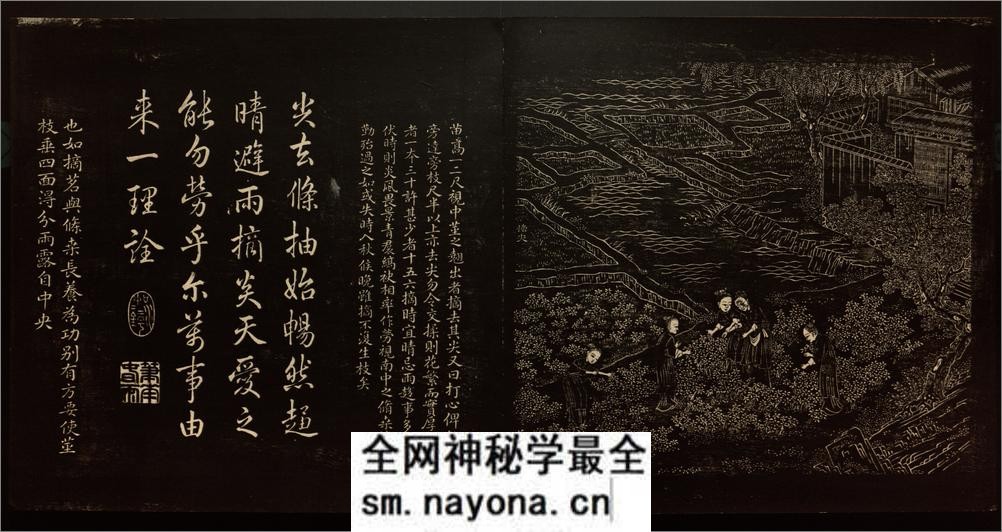 御题棉花图.方观承画.乾隆题诗.拓本.1765年 - 第10页预览图