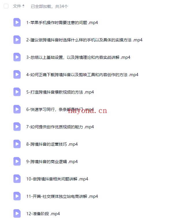 Tiktok+独立站0基础入门到精通，跨境电商独立站新手必学课【Ad-0061】