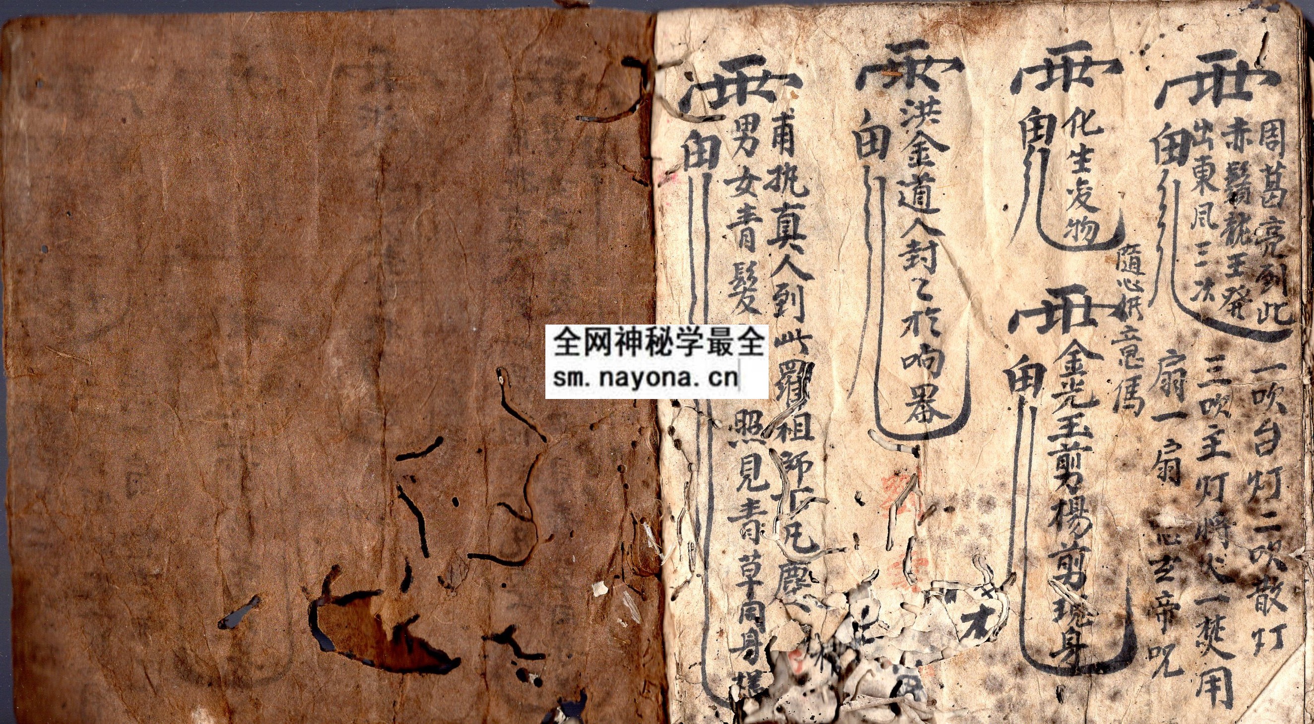 华山符科 （原书）