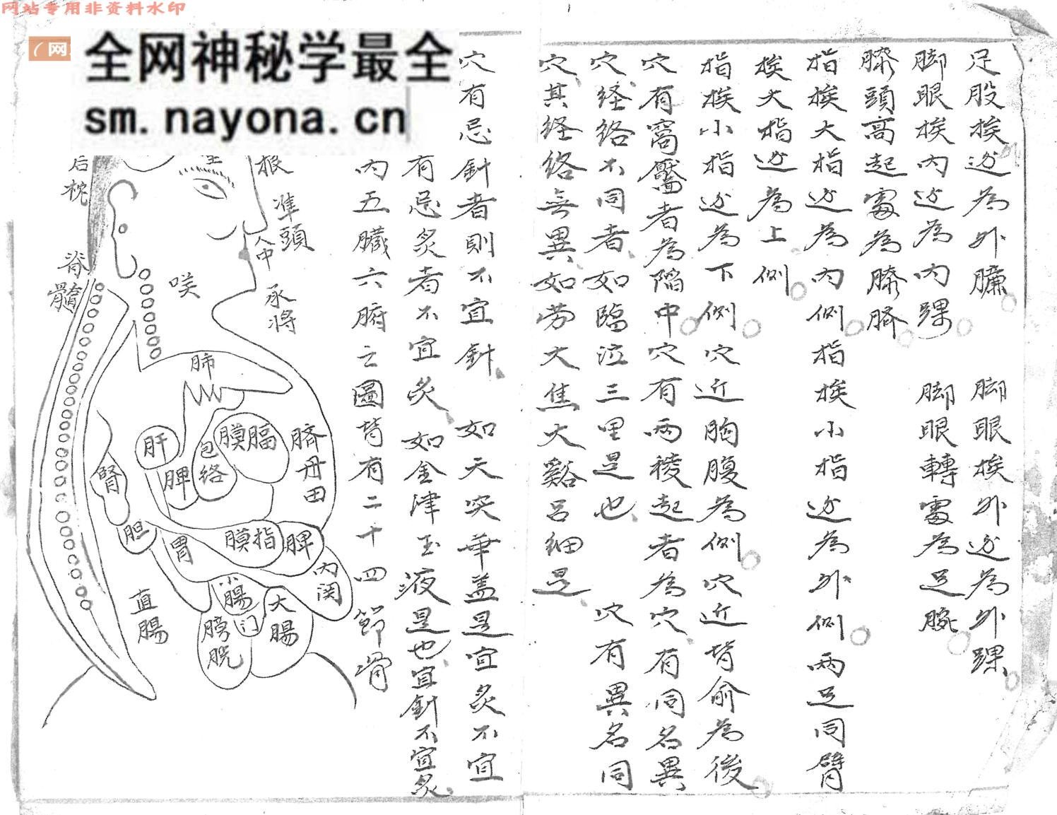 针灸古籍《火图穴法》