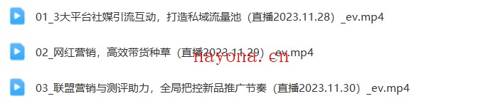 亚马逊-成人用品 站外营销推广 教你引爆站外流量,开启爆单模式(优乐出海)【Ac-0021】