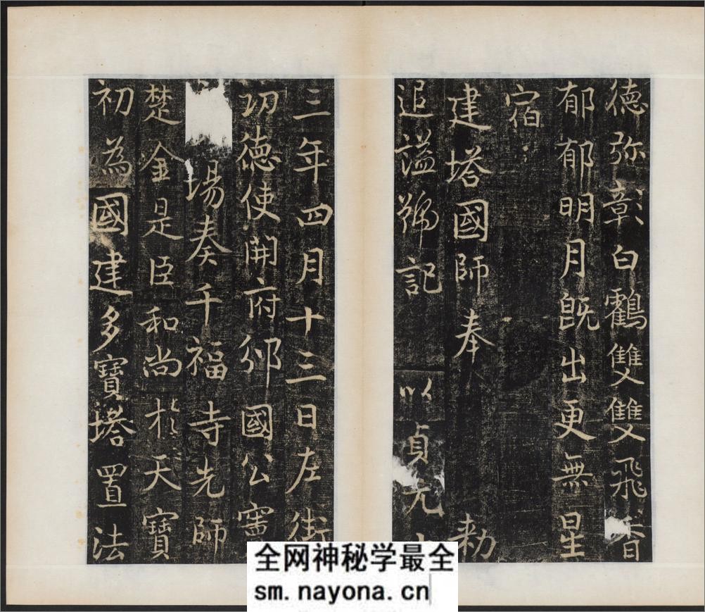 唐国师千福寺多宝塔院故法华楚金禅师碑.唐释飞锡撰.唐吴通书.民国拓本 - 第17页预览图