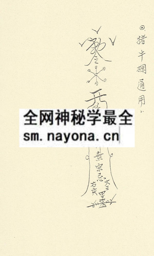 闾山教法坛符咒科本（下）（只售电子版）