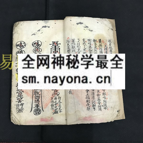 1742901499114121.jpg 法师 (电子版)