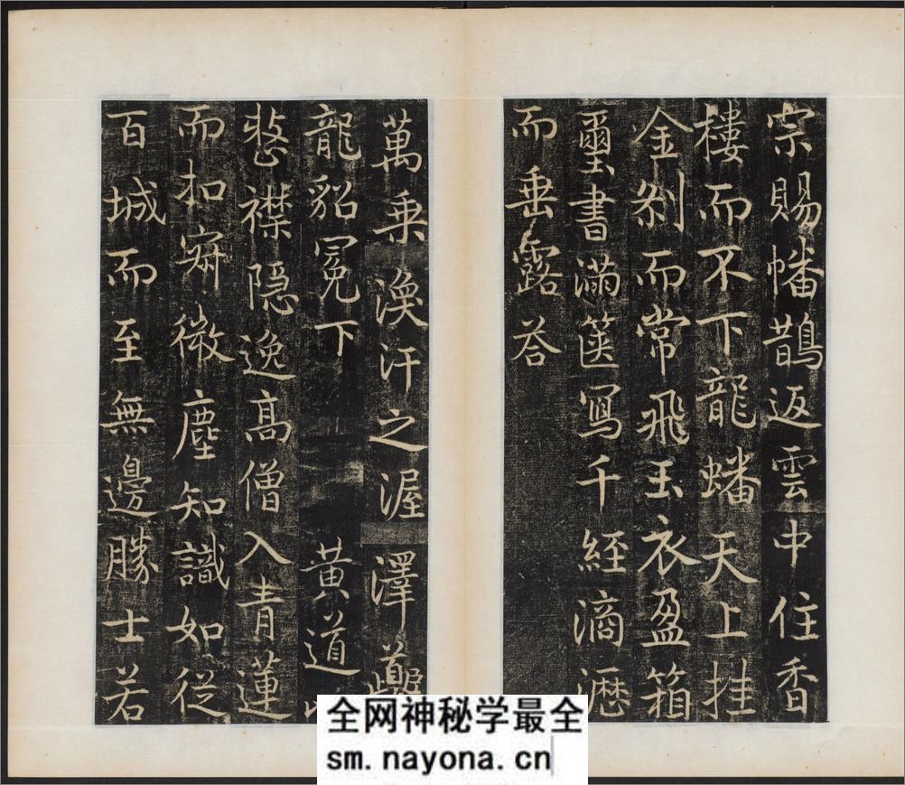 唐国师千福寺多宝塔院故法华楚金禅师碑.唐释飞锡撰.唐吴通书.民国拓本 - 第9页预览图
