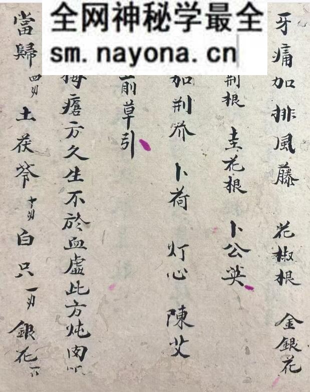 《衣钵秘传》