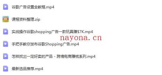 起赚美金·无货源自动化跨境独立站【无提供插件】【Aa-0034】