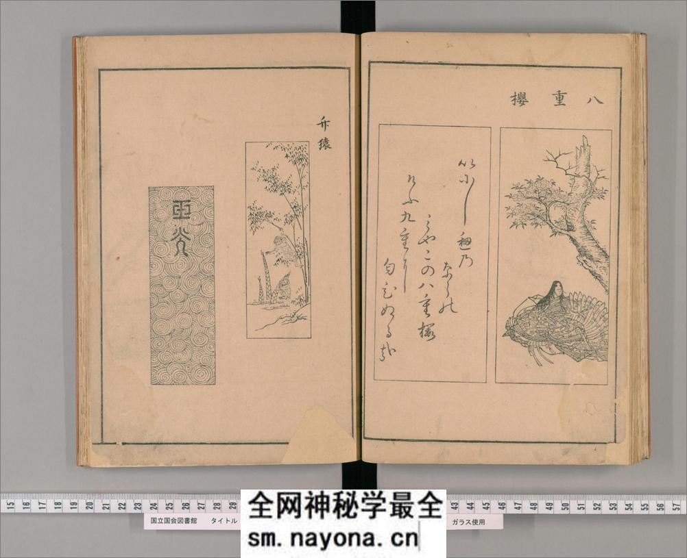 桂华园墨谱.藤原守美编.天明8年刊.1788年 - 第19页预览图