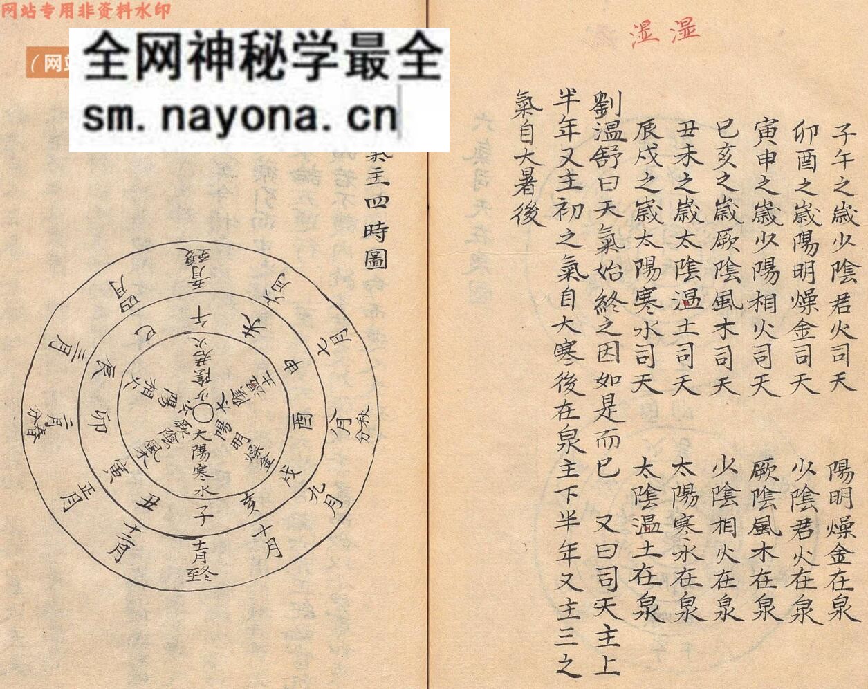 中医痘科古籍《痘疹正宗》高武