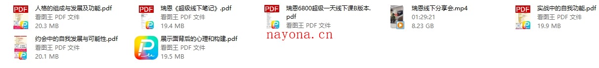 瑞恩线下分享会