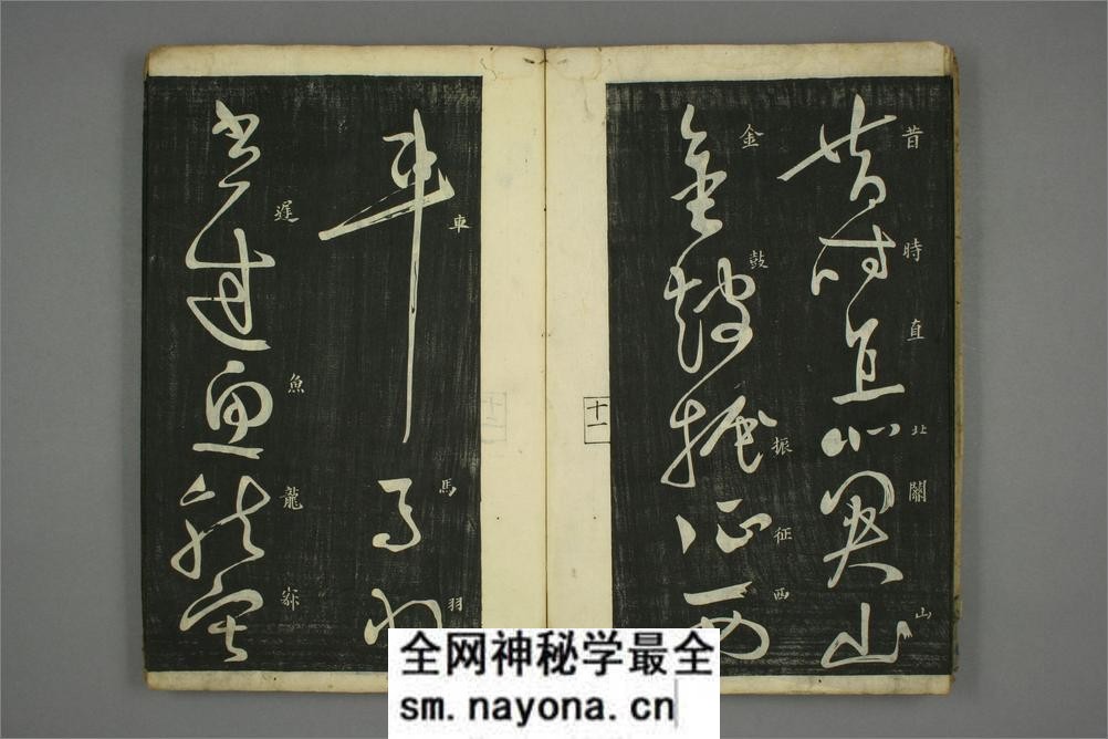 (唐)怀素草书秋兴八首(日延保版) - 第13页预览图