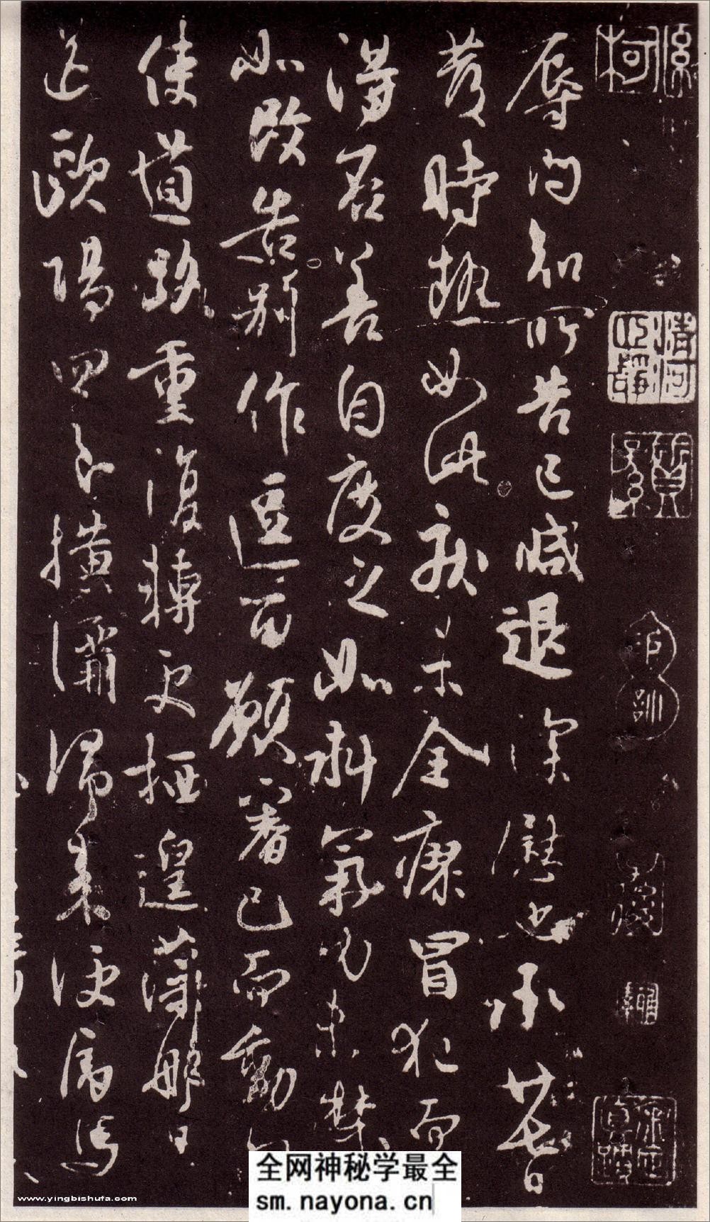 (唐)林藻草书深慰帖 - 第1页预览图