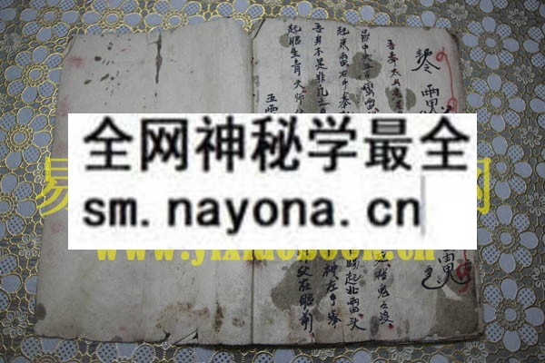 1742732416582690.jpg 跌打蛇科符本 (电子版)