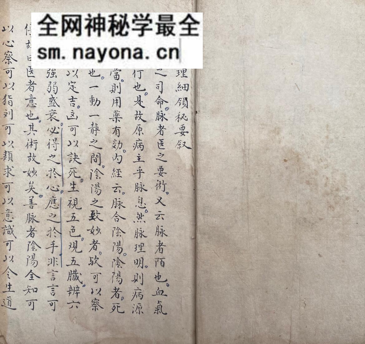 《脉理细领秘要》