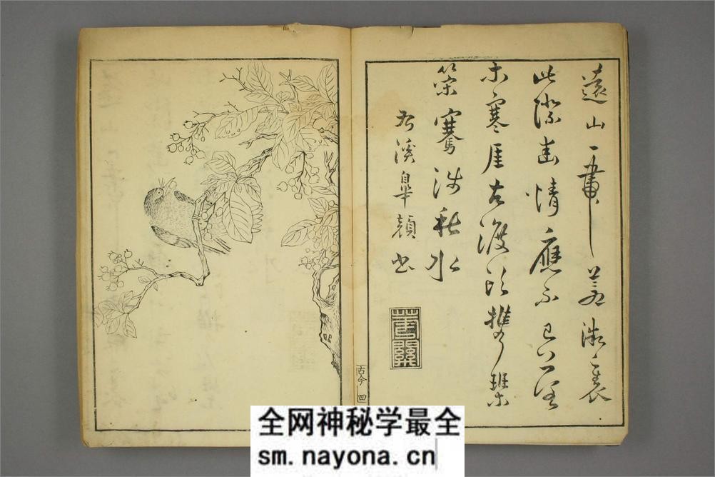 唐觧元彷古今画谱.唐寅画.明黄凤池辑 - 第3页预览图