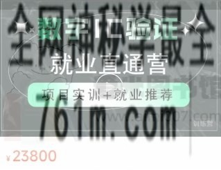 溪林 陈大兔《数字IC验证就业直通营》