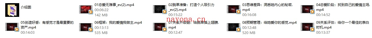 情感解忧社《恋爱指北》价值199