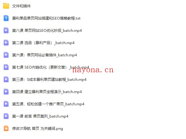 暴利单品单页网站搭建和SEO策略教程【Aa-0025】