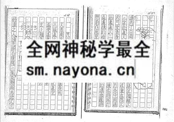 乐善坛做法符书 （只售电子版）