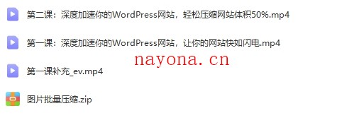 深度加速你的WordPress网站，让你的网站快如闪电！【Aa-0031】