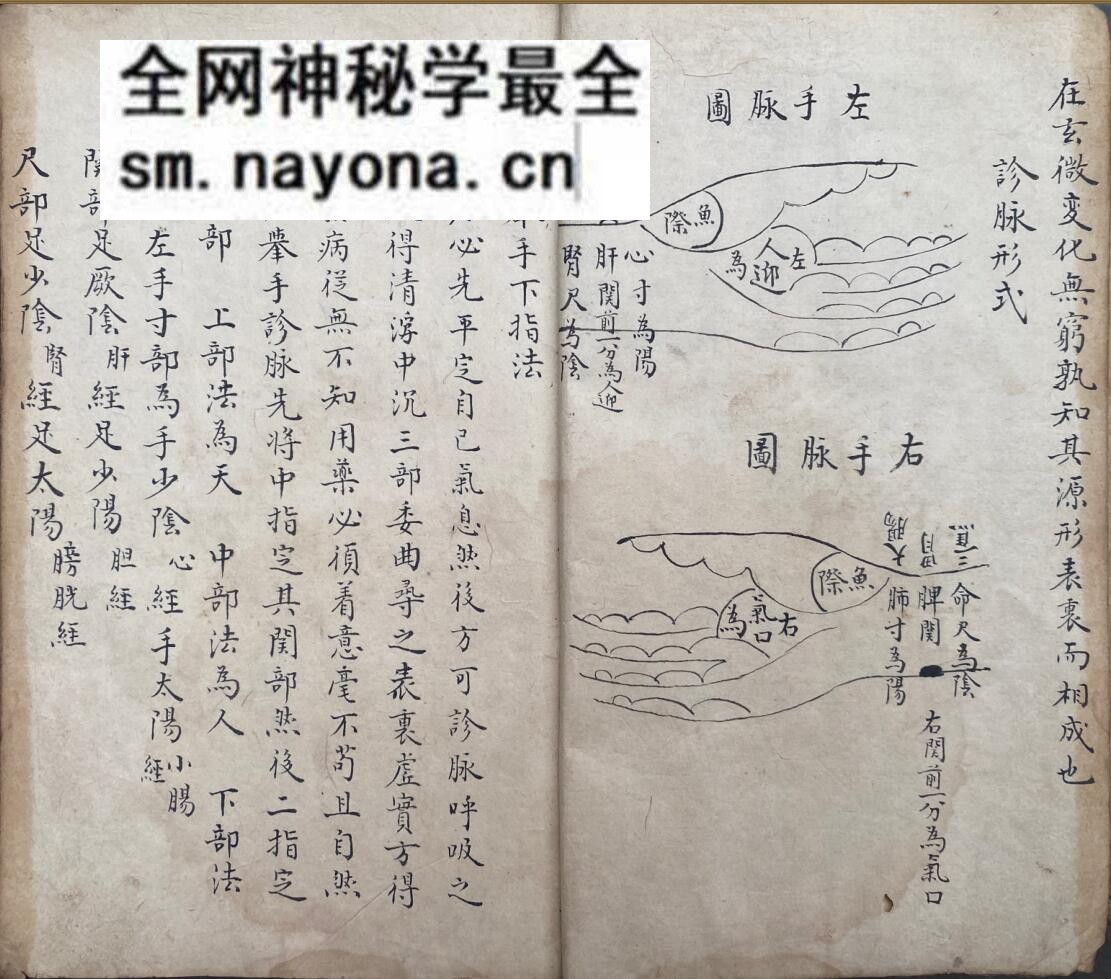 《脉理细领秘要》