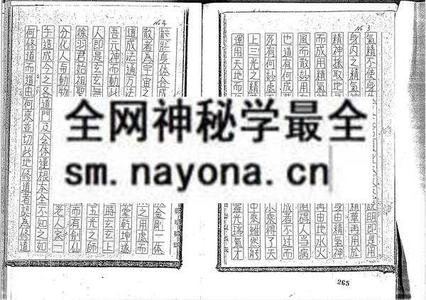 乐善坛做法符书 （只售电子版）