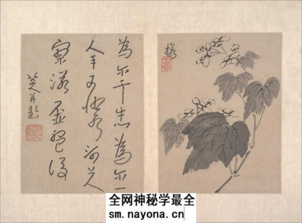 八大山人绘画册页.写意文人12帧.山水12帧.朱耷绘.清代 - 第9页预览图