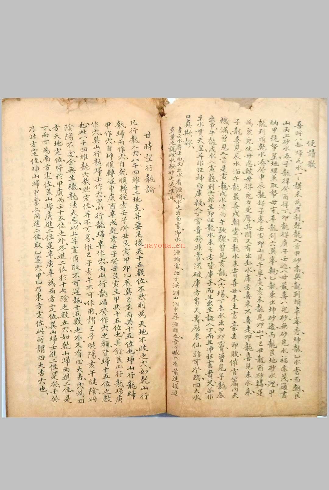 看龙峦头