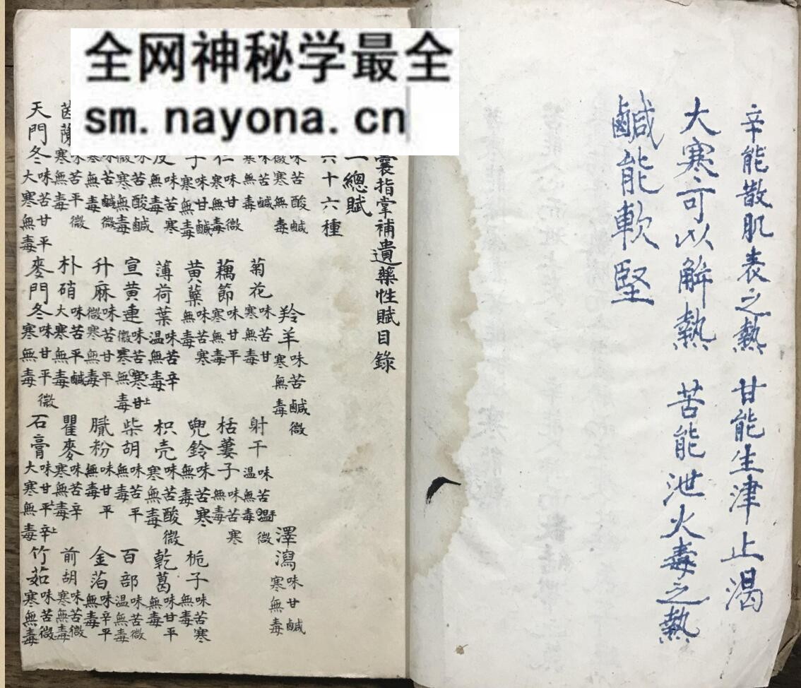 《雷公炮灸》