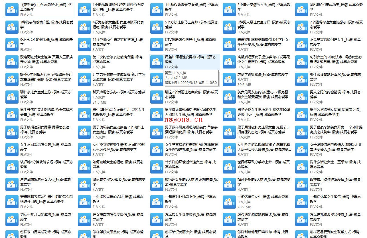 成真恋爱学教程全集