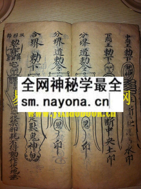 1742454923721845.jpg 大幡封山科 (电子版)
