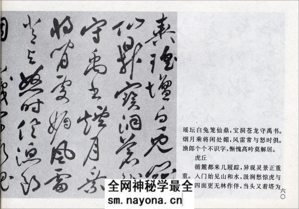(明)祝允明草书闲居秋日诗卷 - 第9页预览图