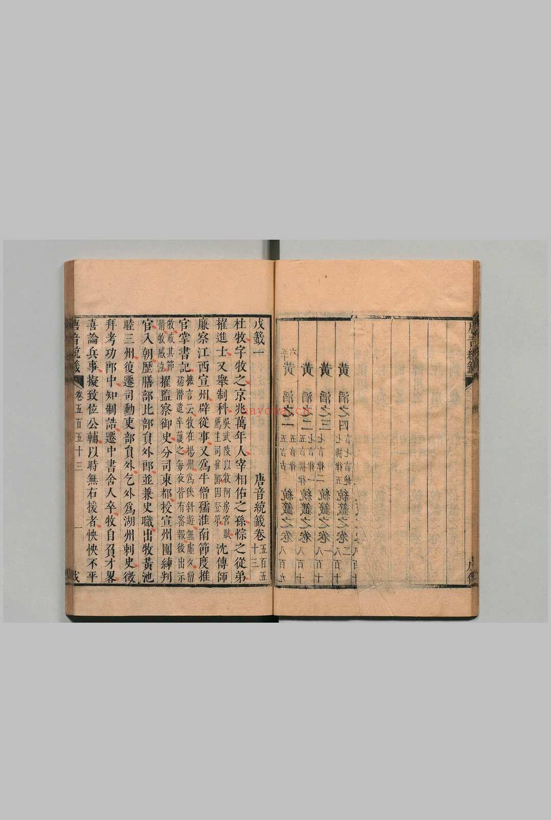 唐音戊籖 201卷 胡震亨 ,清康熙间