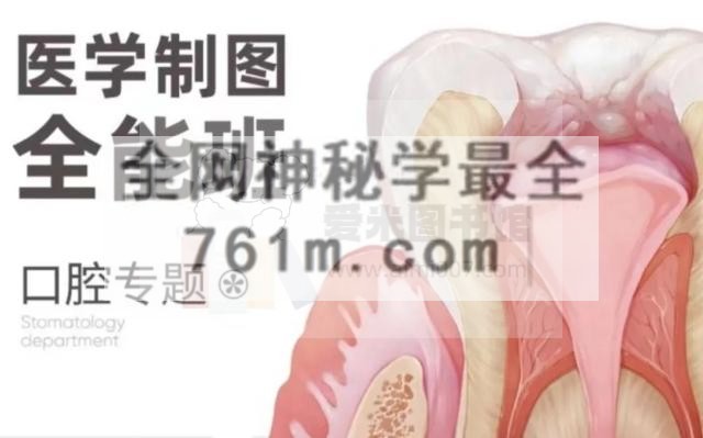 医学制图全能班·口腔专题
