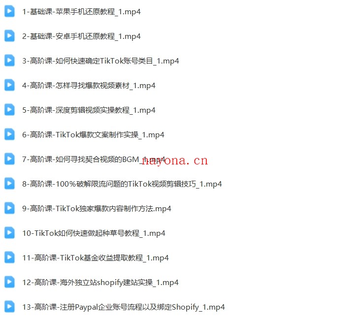 TikTok账号运营策略:涨粉策略与优化技巧,快速实现粉丝增长与变现【Ad-0032】