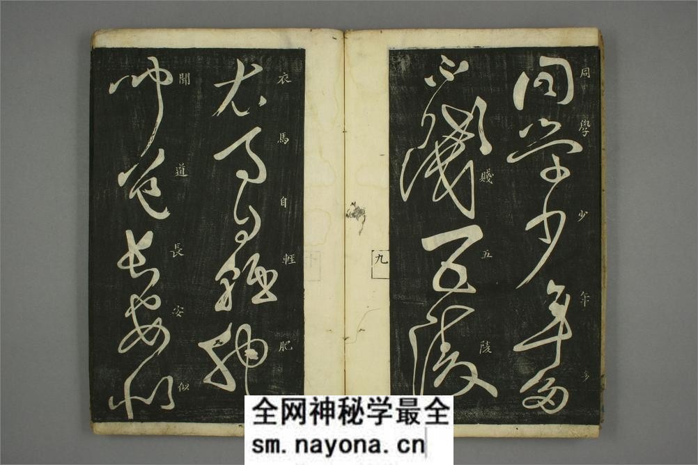 (唐)怀素草书秋兴八首(日延保版) - 第11页预览图