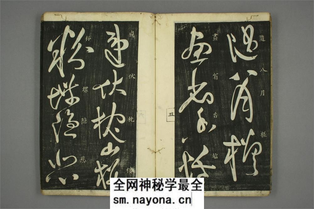 (唐)怀素草书秋兴八首(日延保版) - 第7页预览图