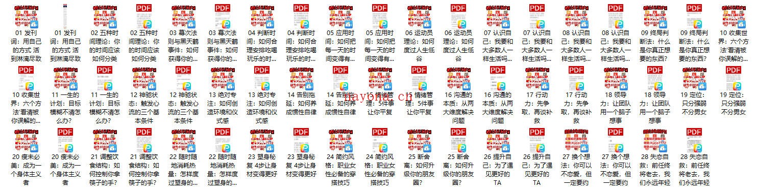 王潇《女性力量28讲:如何成为一个出色的人》完结