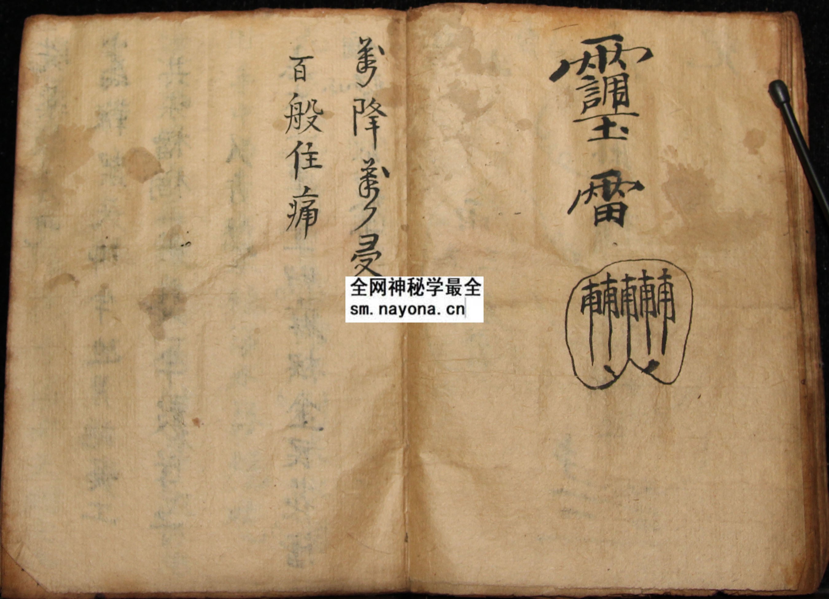 1747987905128246.jpg 化身符科 (电子版)