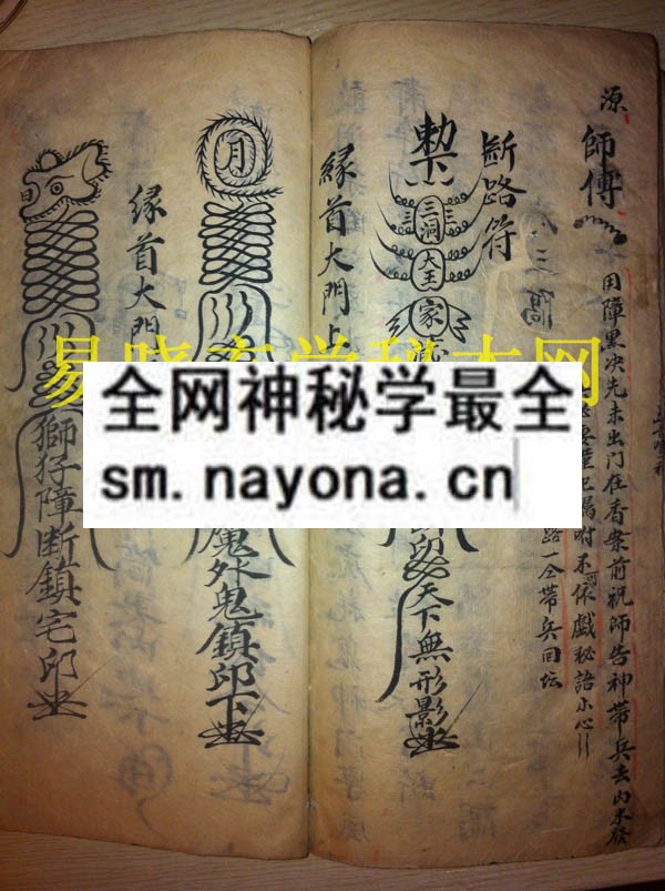 1742454922554368.jpg 大幡封山科 (电子版)