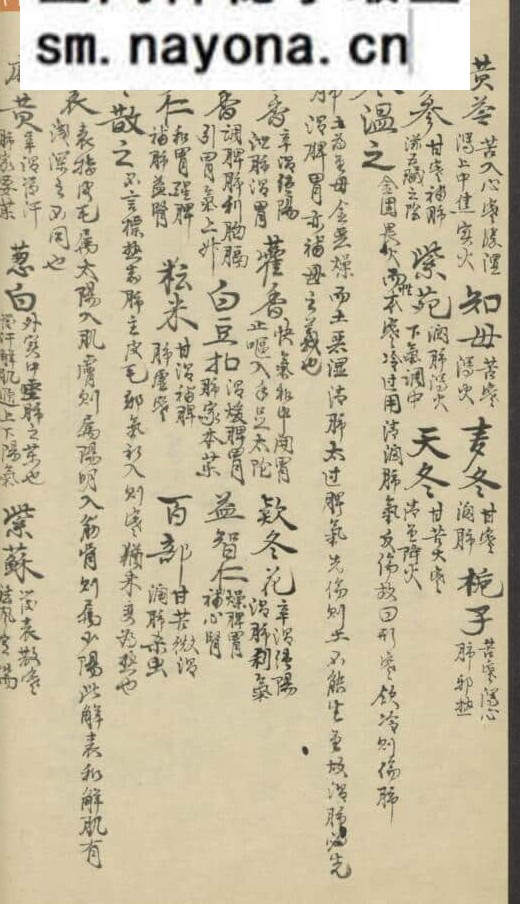 《脏腑标本药式》