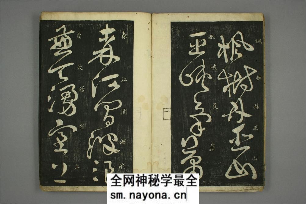 (唐)怀素草书秋兴八首(日延保版) - 第3页预览图