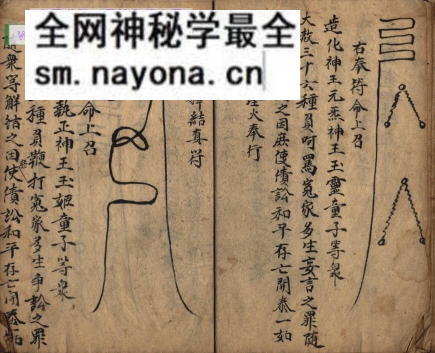 《延生行移》百度网盘下载