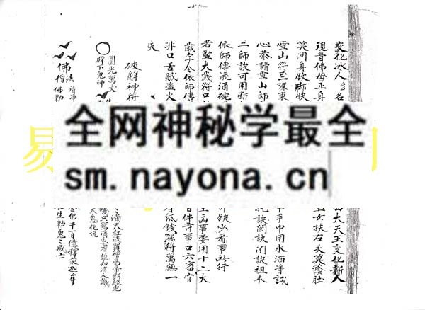 1742732996739168.jpg 断瘟行符秘本 (电子版)
