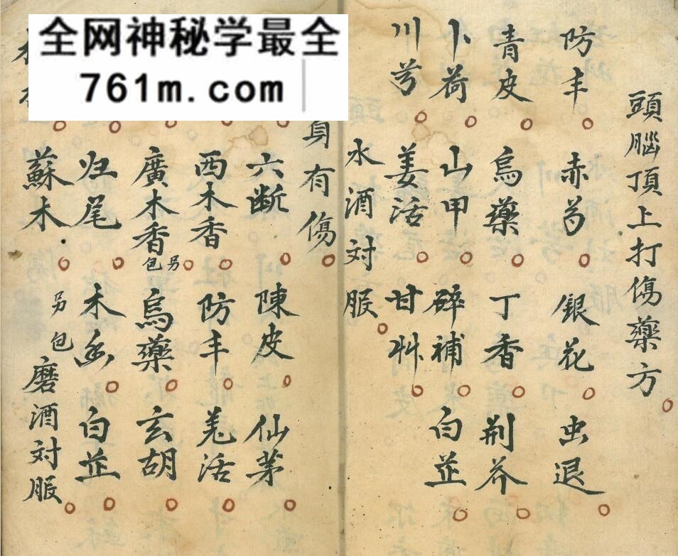《伤科药书》