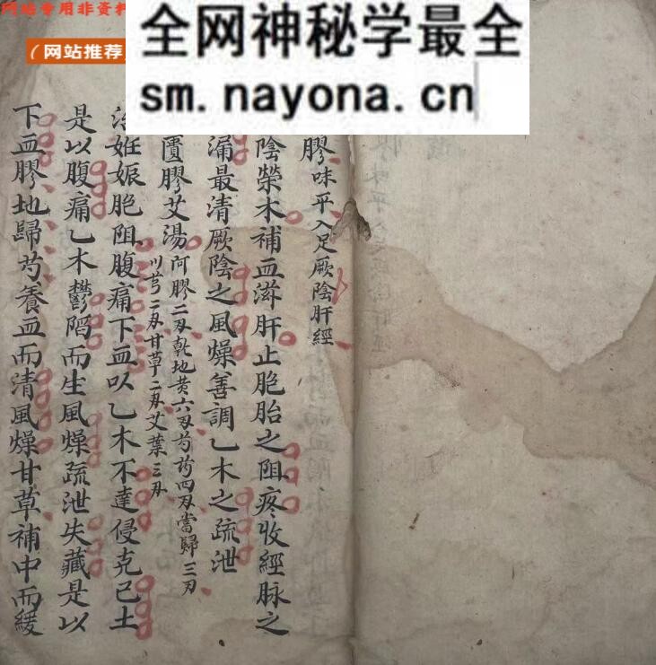 《长沙药解》