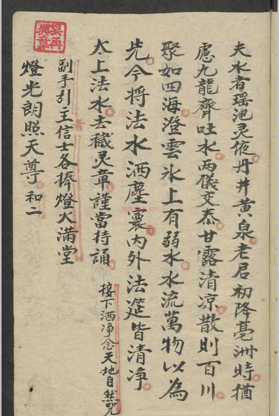 道教大和土科 , 1800