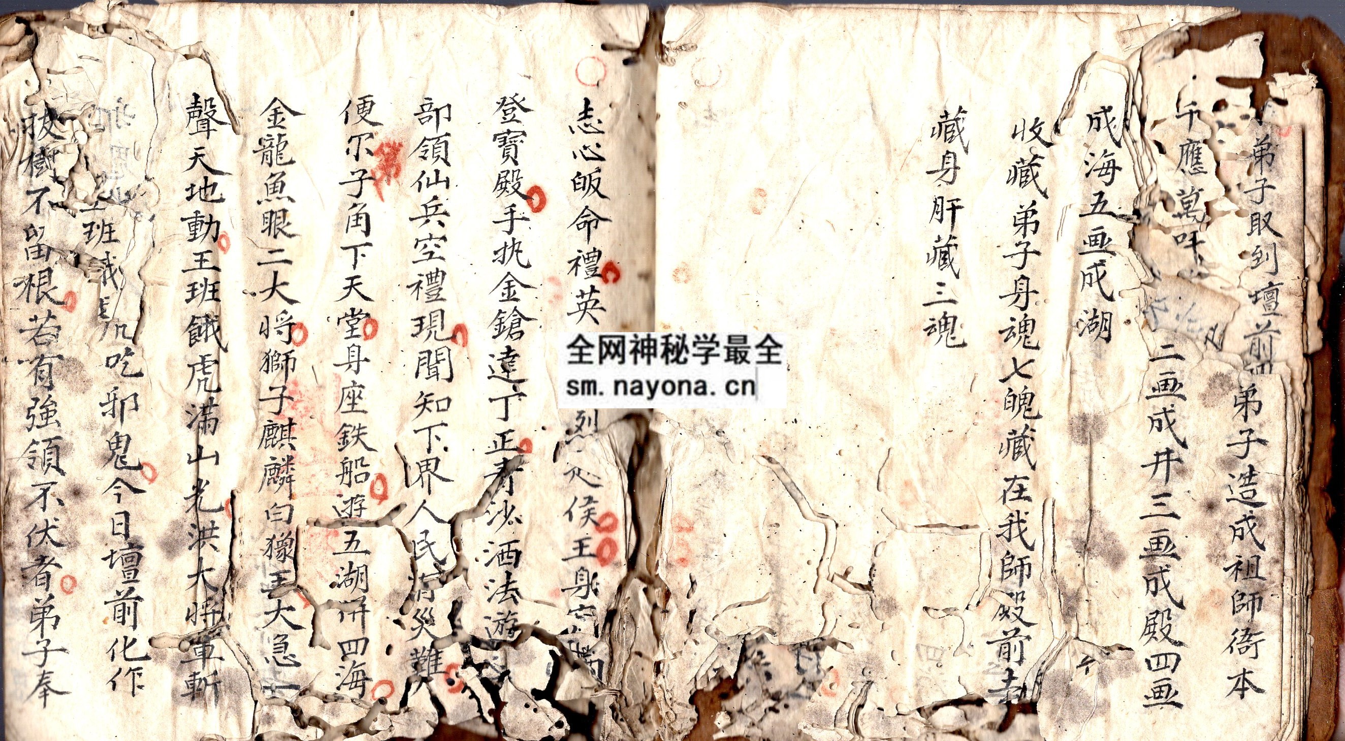 华山符科 （原书）